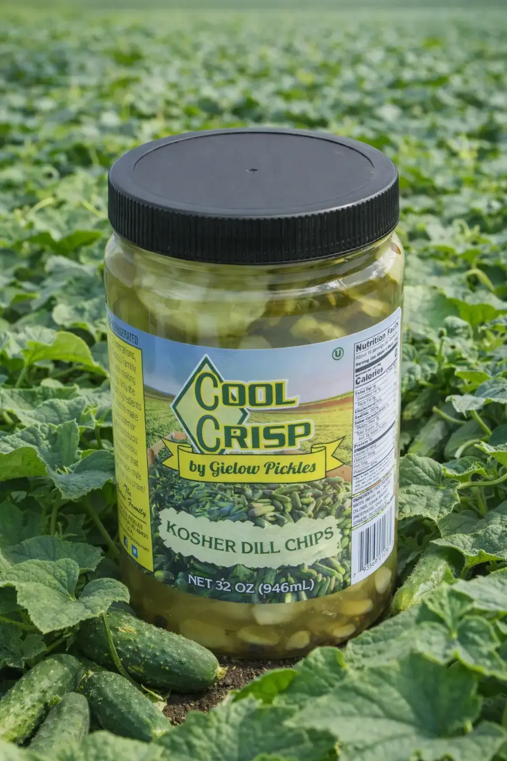 Kosher Dill Chips