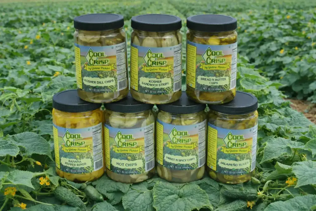 Group Of Jars in a field.