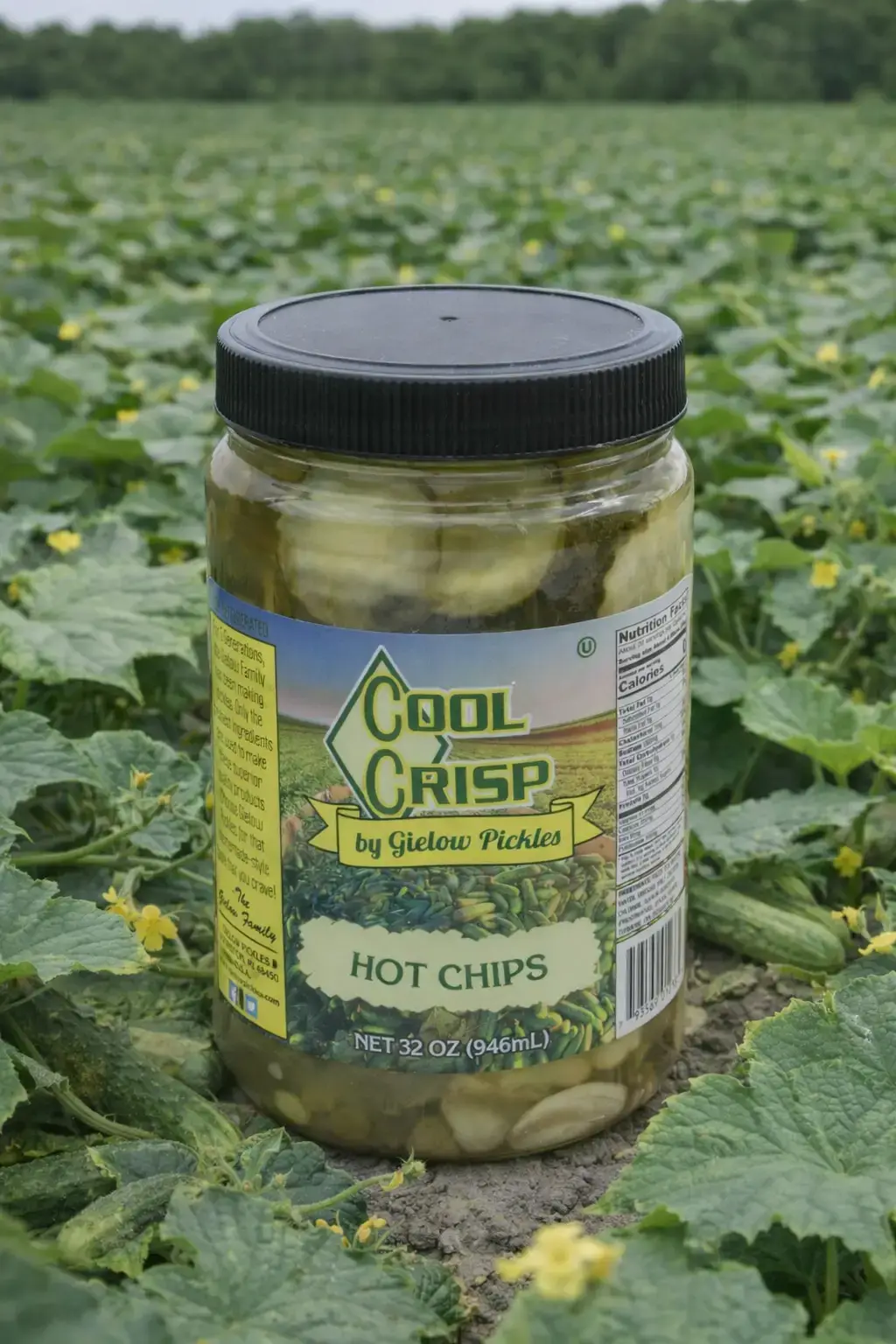 Hot Chips